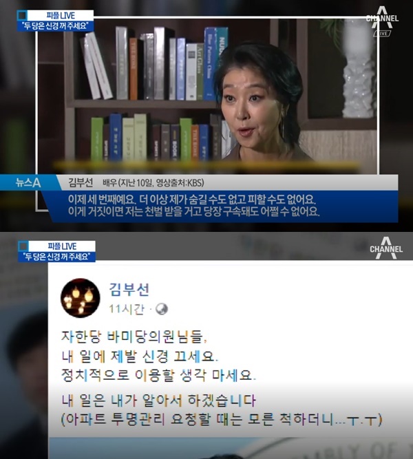 '여배우 스캔들' 김부선·이재명 (사진: 채널A)