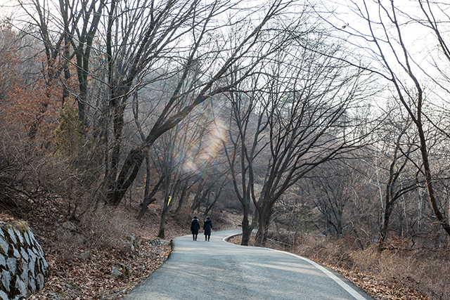 ▲ 공기가 깨끗하고 전망이 시원해 산책이나 조깅하는 이들이 많은 망우리공원