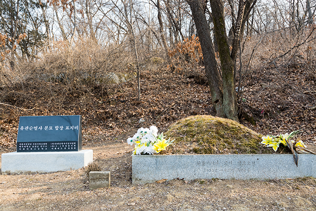 ▲ ‘유관순열사 분묘합장표지비’와 합장묘