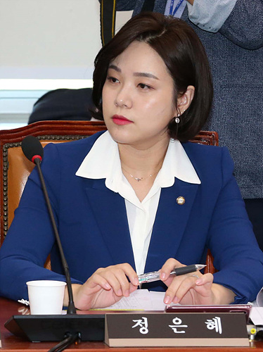 ▲ 더불어민주당 내 최연소로 정계에 입문한 정은혜 의원