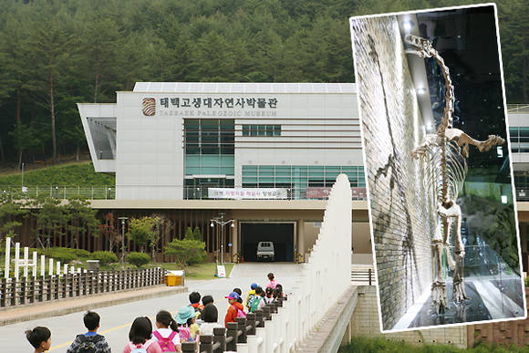 태백고생대자연사박물관