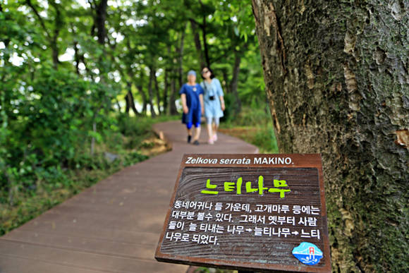 물건리 방조어부림 산책로